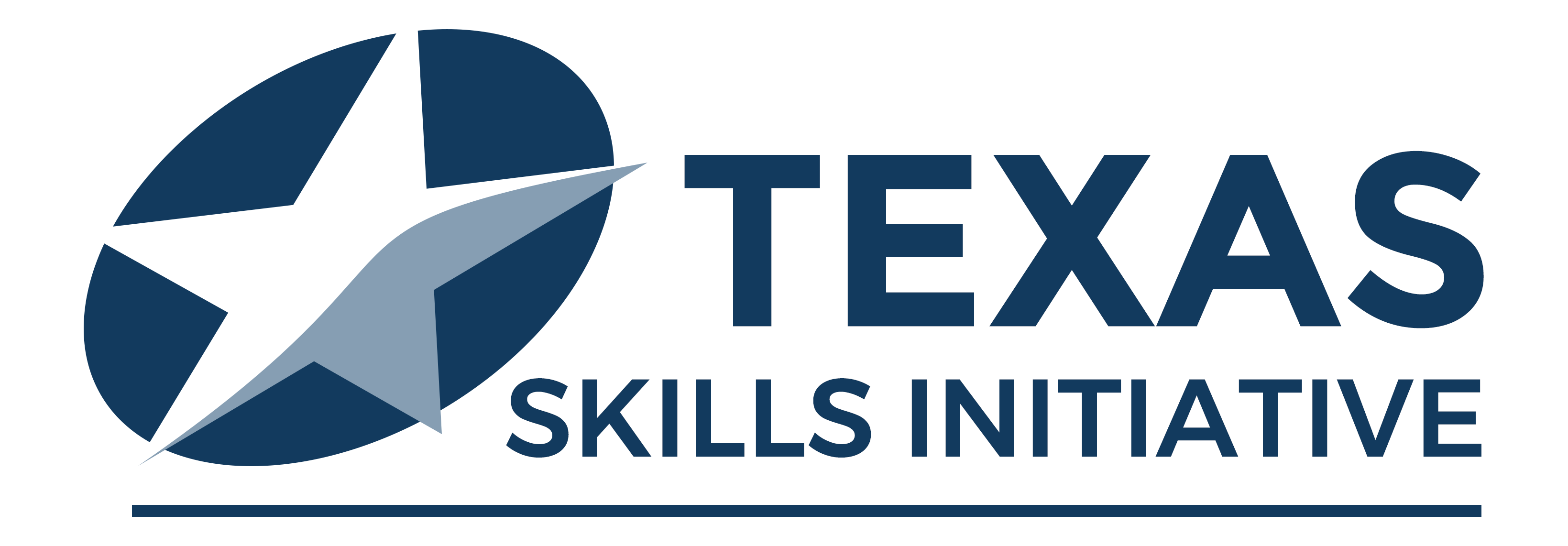 Texas Skills Initiative